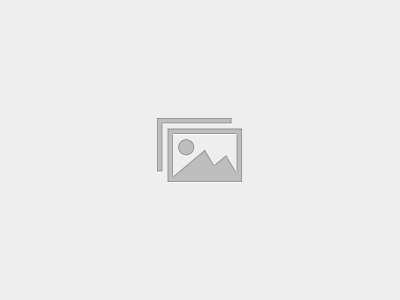 FHA Guidelines For Agents